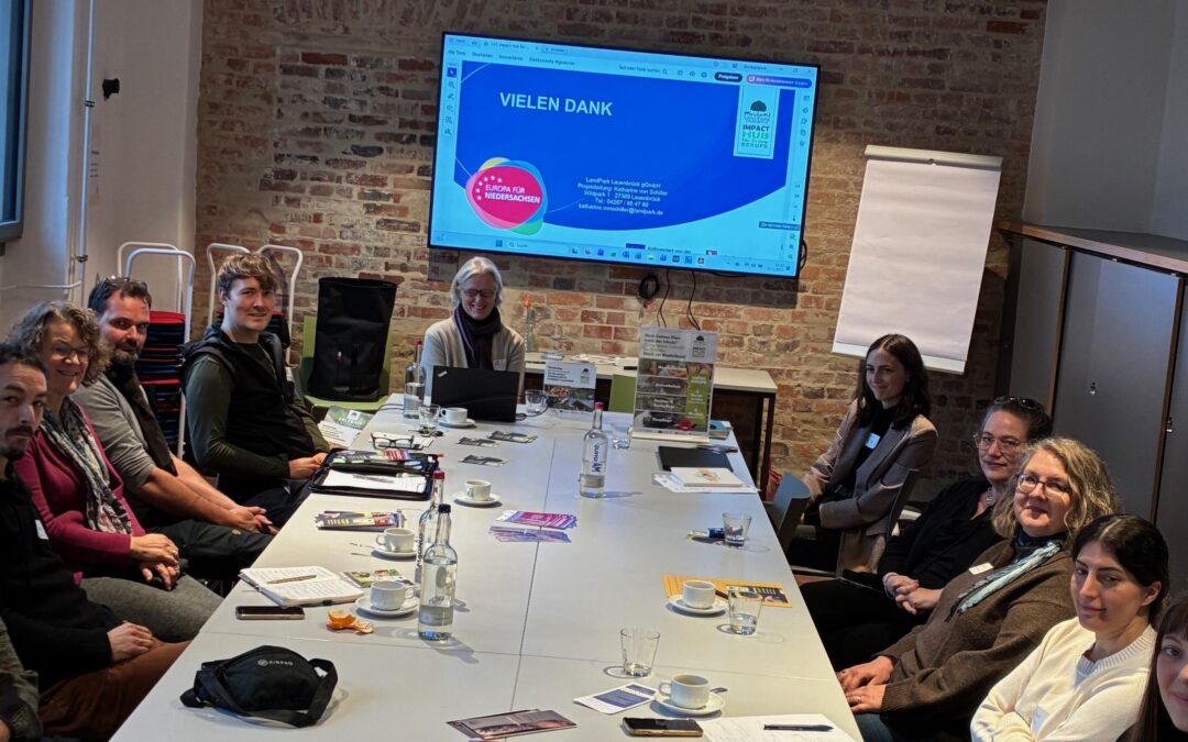 Netzwerktreffen: Impact Hub für grüne Berufe